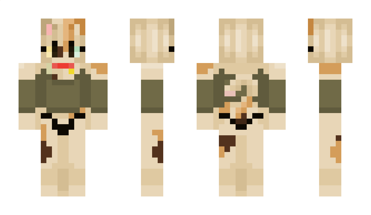 liliputek_PL_ Minecraft Skin