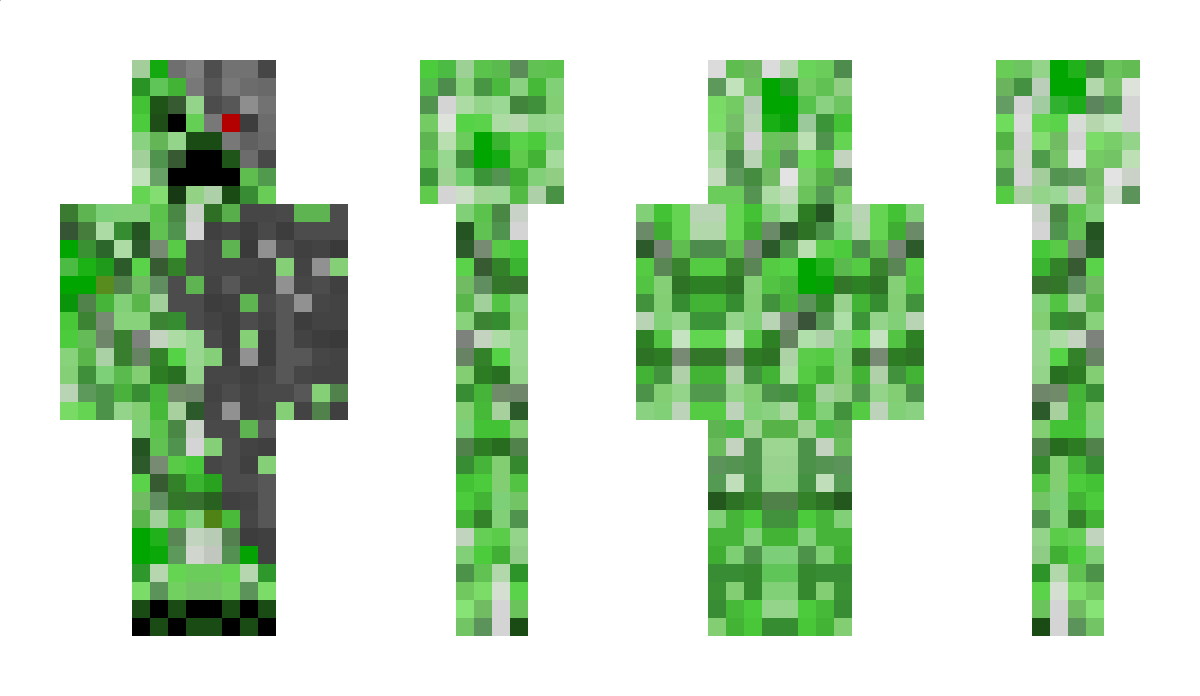 Hausschuh2301 Minecraft Skin