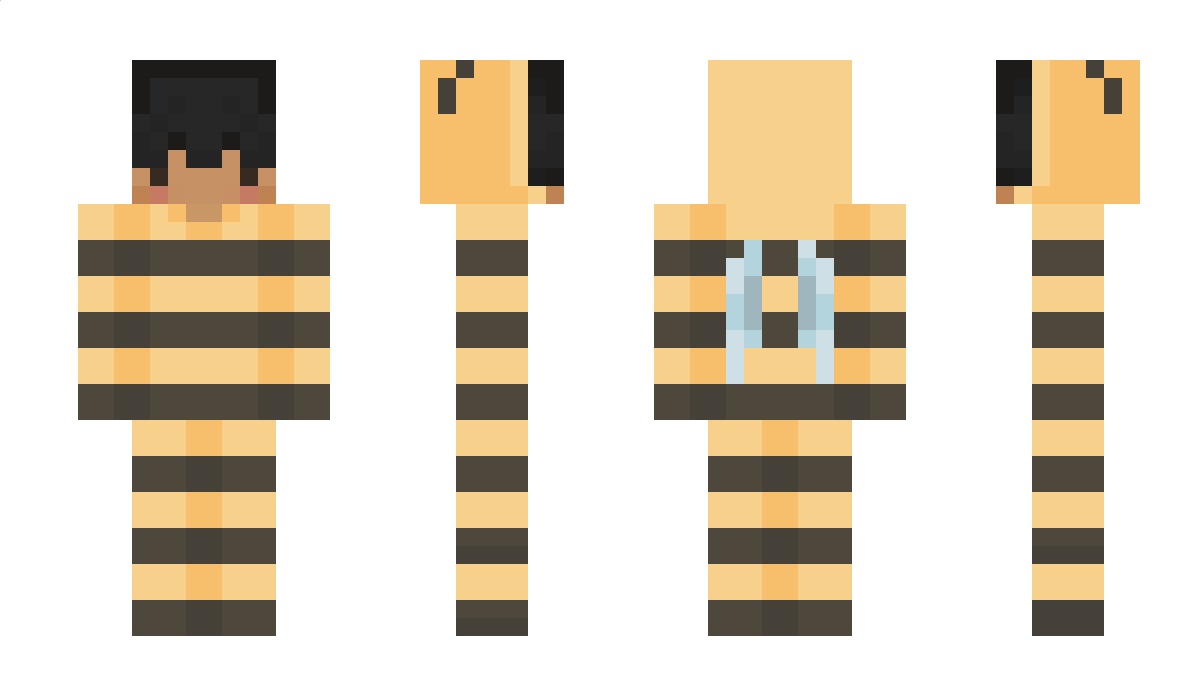 Sauryam Minecraft Skin