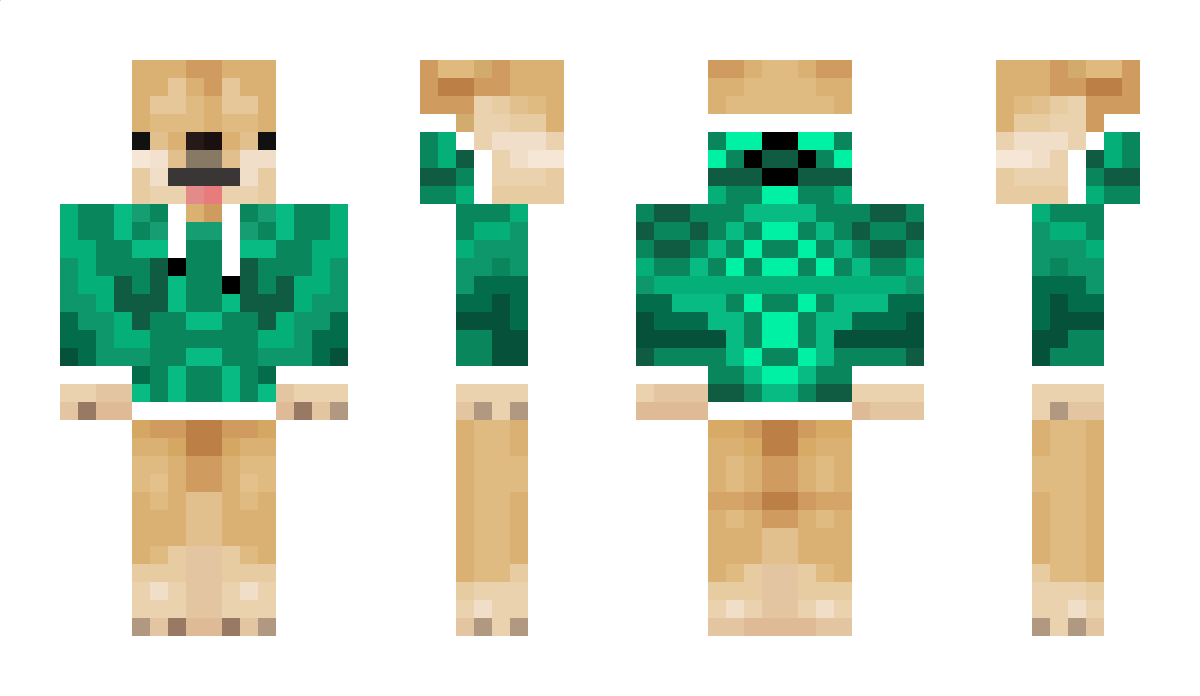 Imheylolgg Minecraft Skin