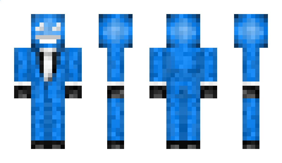 Het Minecraft Skin