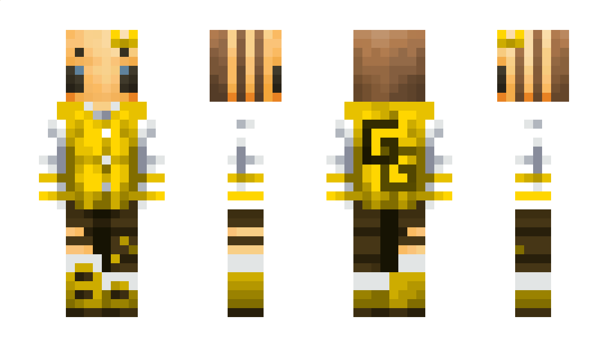 beebuilding Minecraft Skin