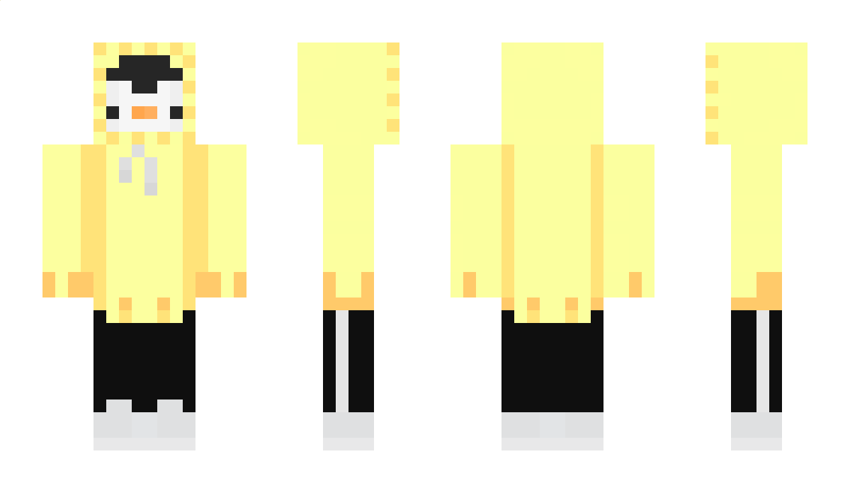 adasiek123_4 Minecraft Skin