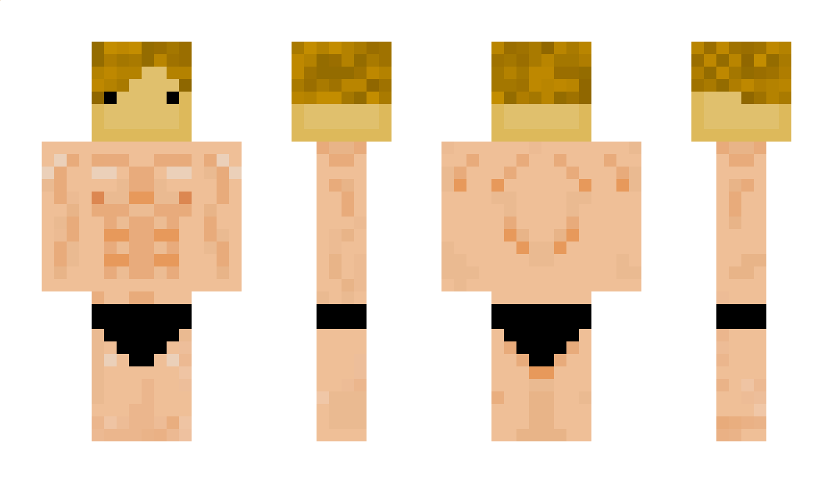 GamerMaster Minecraft Skin