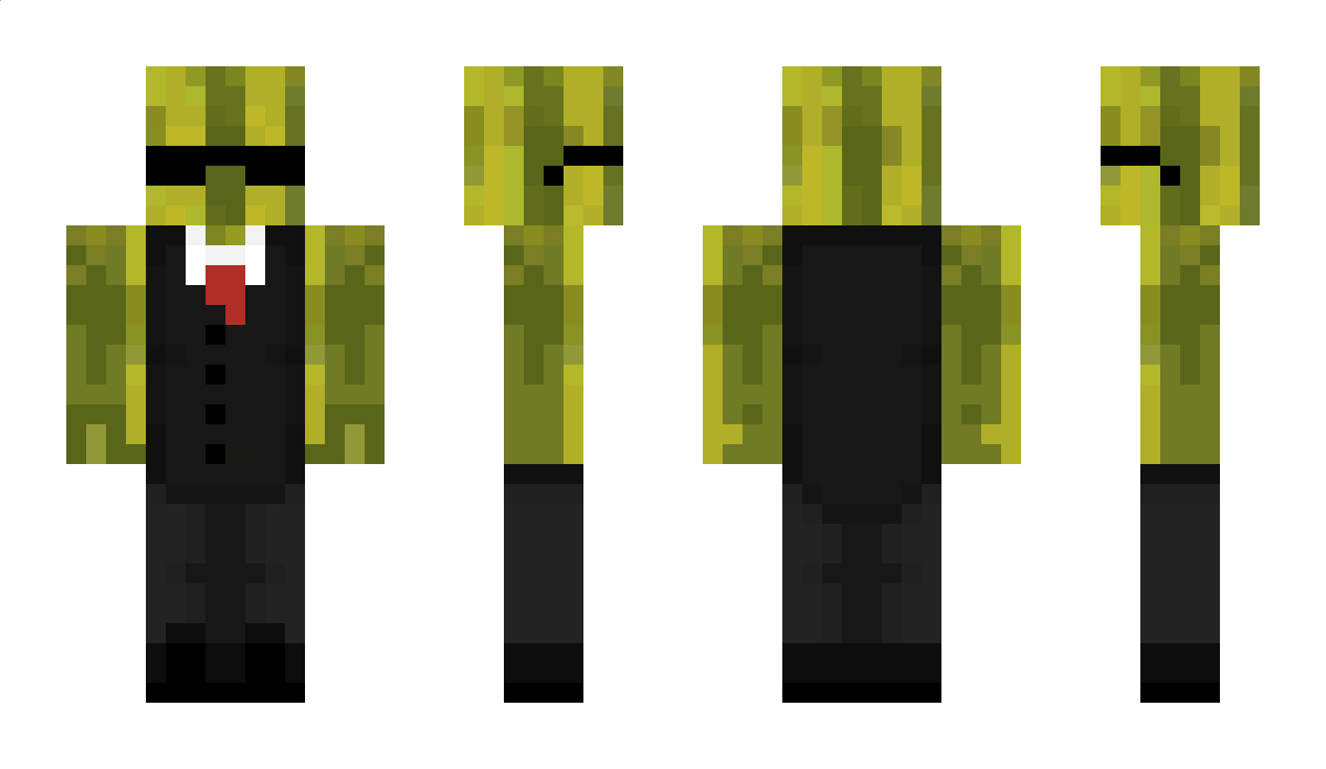 kwinti Minecraft Skin