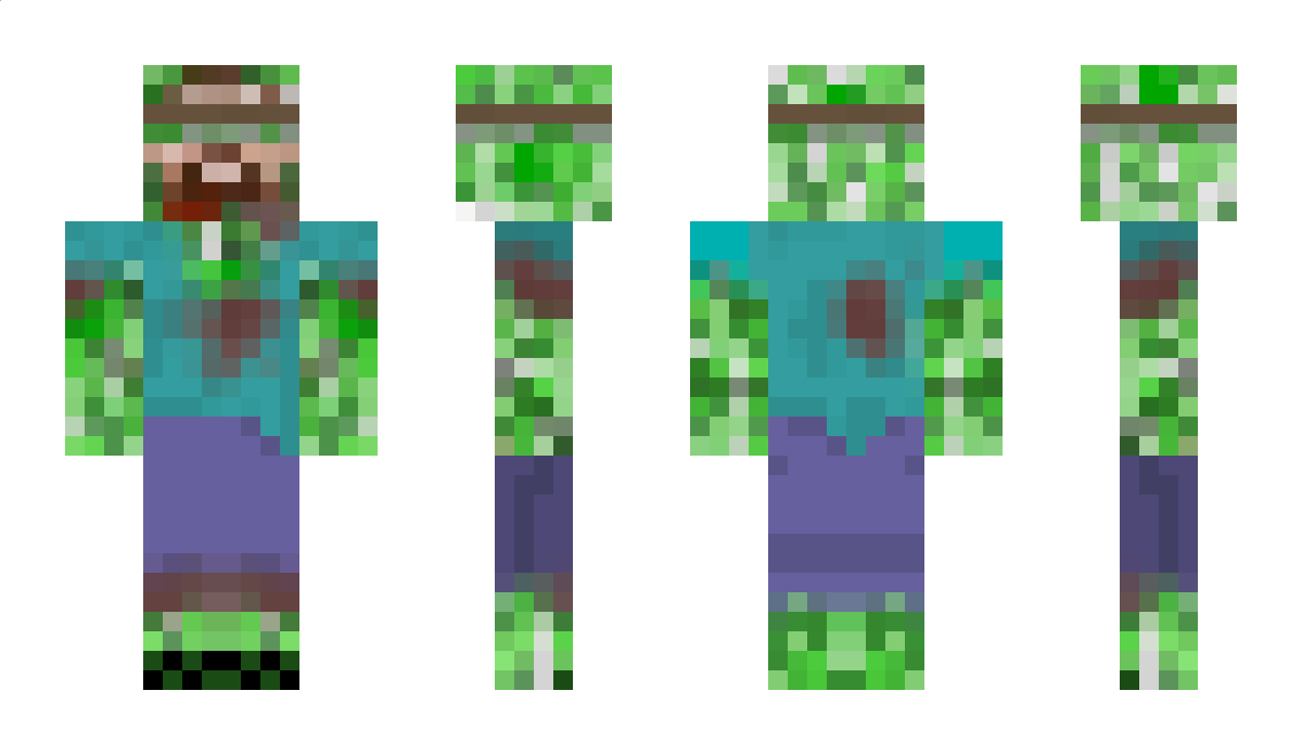 VillageIdiot Minecraft Skin