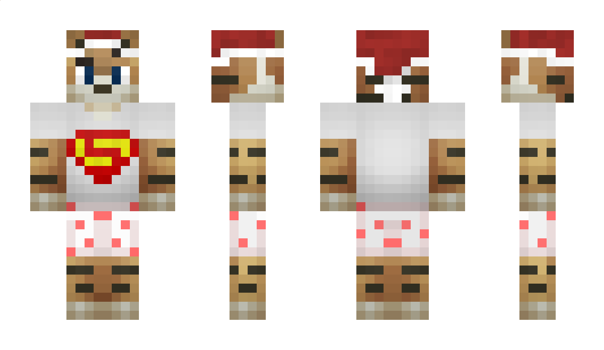 R3xx Minecraft Skin