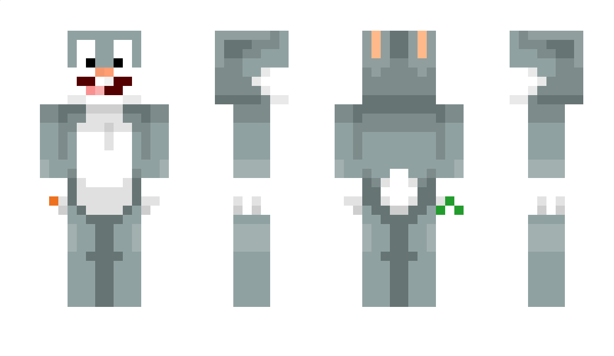 ErVo_ Minecraft Skin