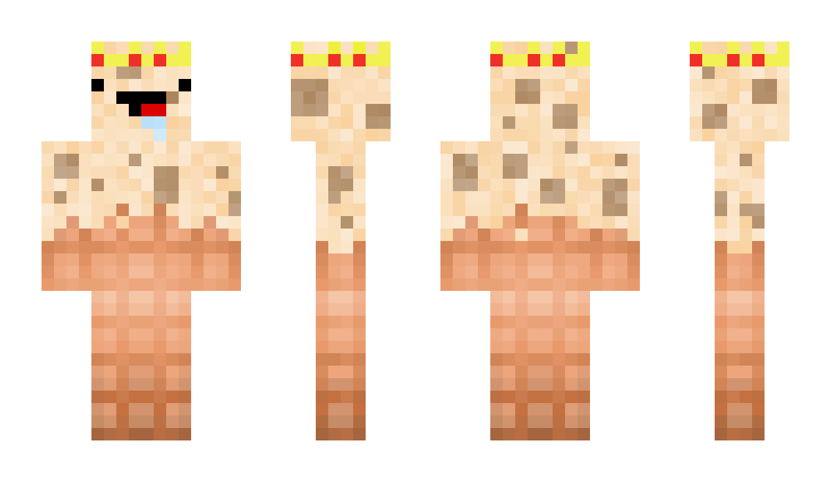 Coockie2839 Minecraft Skin