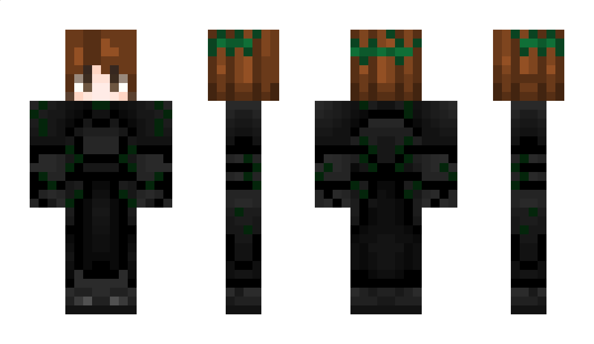 Ravertimes Minecraft Skin