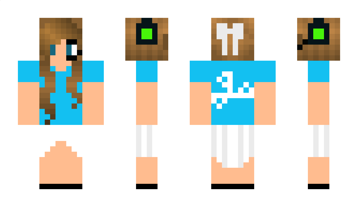 erumi Minecraft Skin