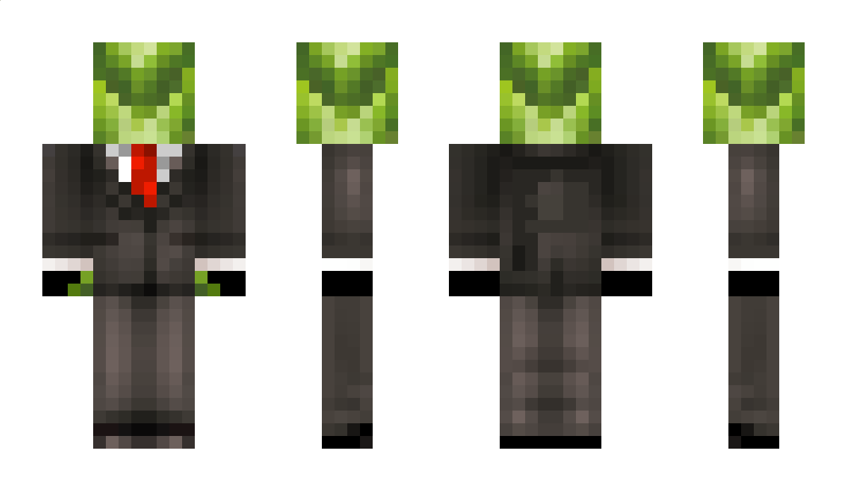 S2Cabbage Minecraft Skin