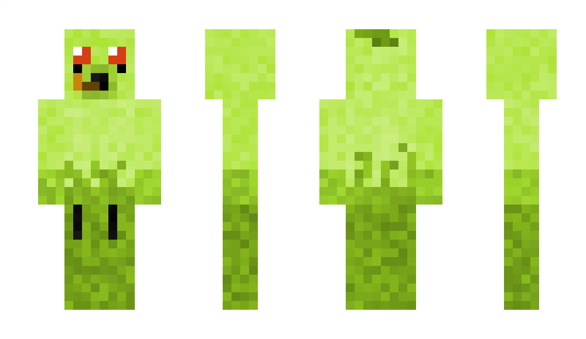 destoryer10 Minecraft Skin