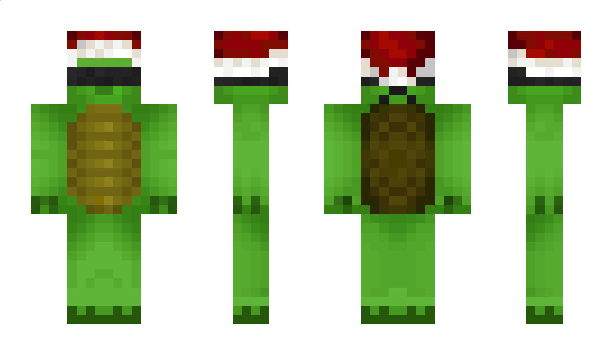 LeTurtleGuy Minecraft Skin