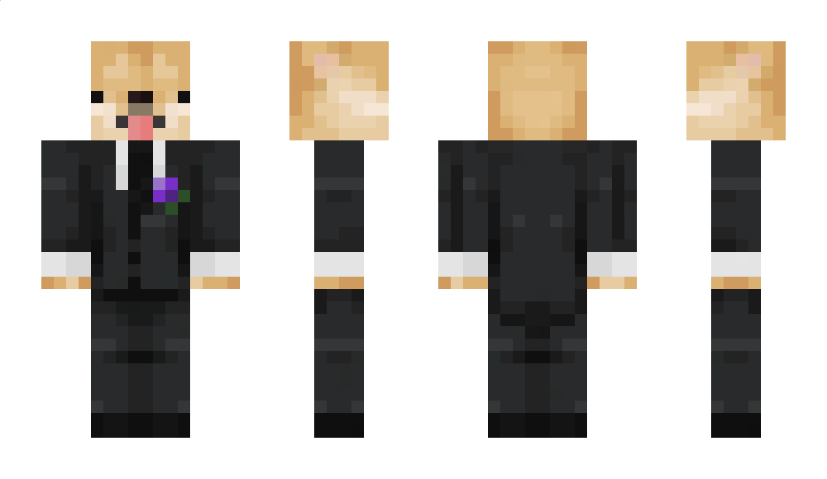 Pav3l1337 Minecraft Skin