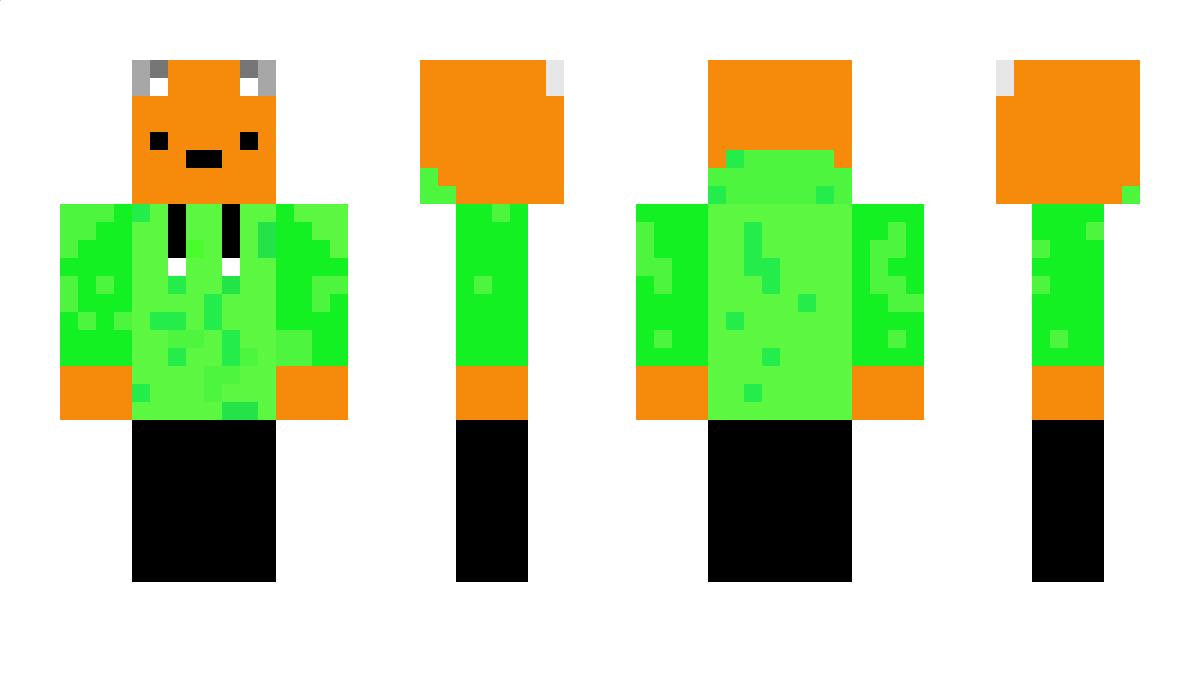 SnakeNinjaNM Minecraft Skin