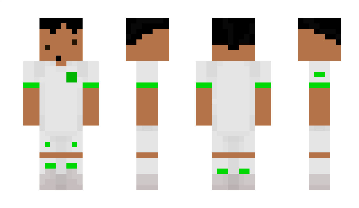 dinosaurman300 Minecraft Skin