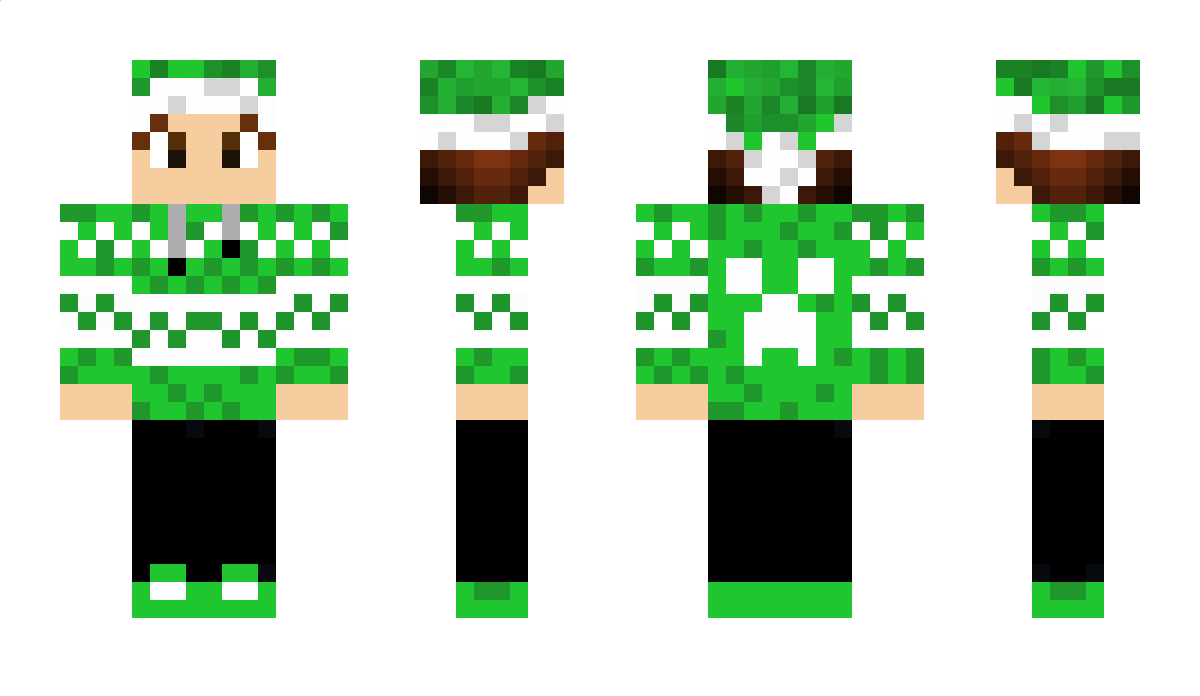 TheFifou Minecraft Skin