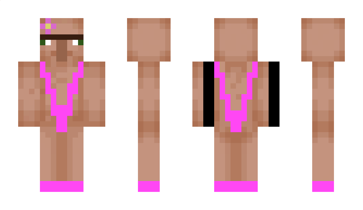 342K Minecraft Skin