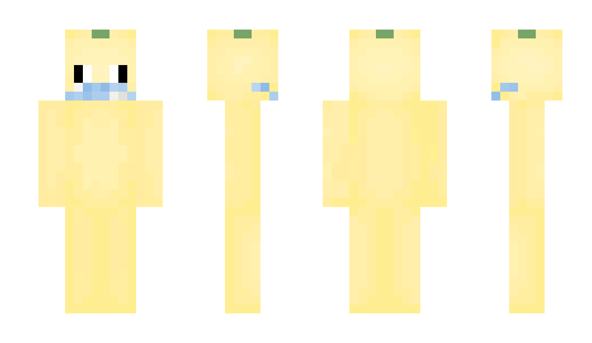 blamm01 Minecraft Skin