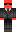 Plangupoiss Minecraft Skin