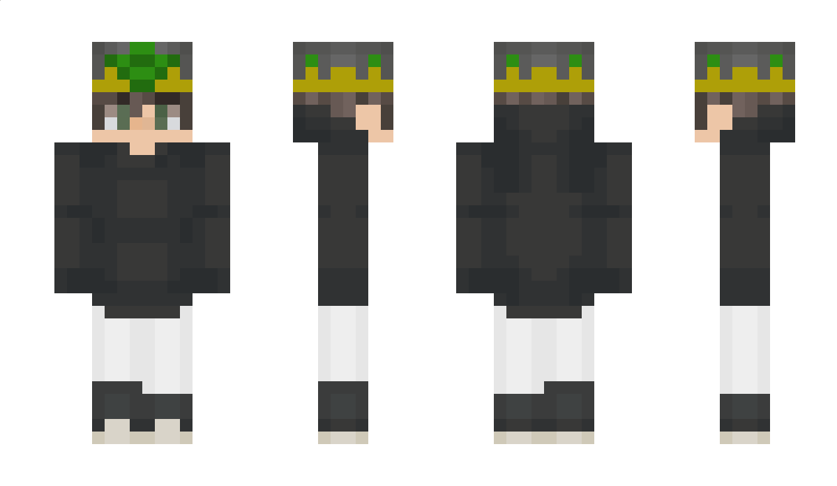 MisterLionel10 Minecraft Skin