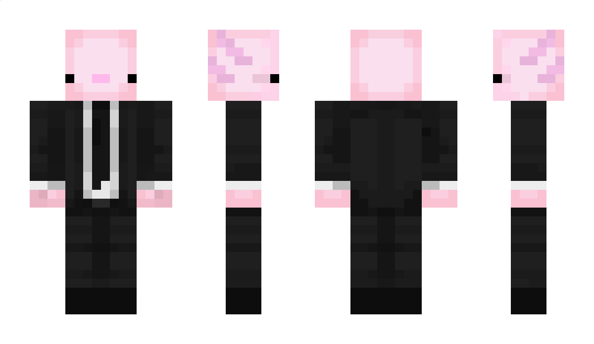 Version422 Minecraft Skin