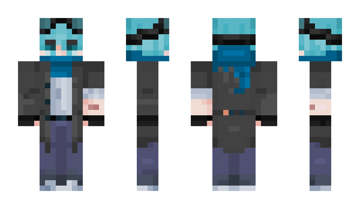 Anomonet Minecraft Skin