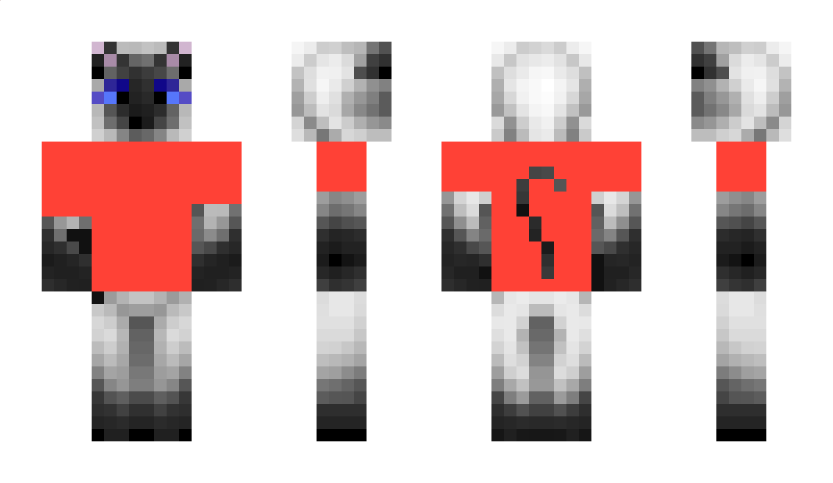 cattt_lord Minecraft Skin