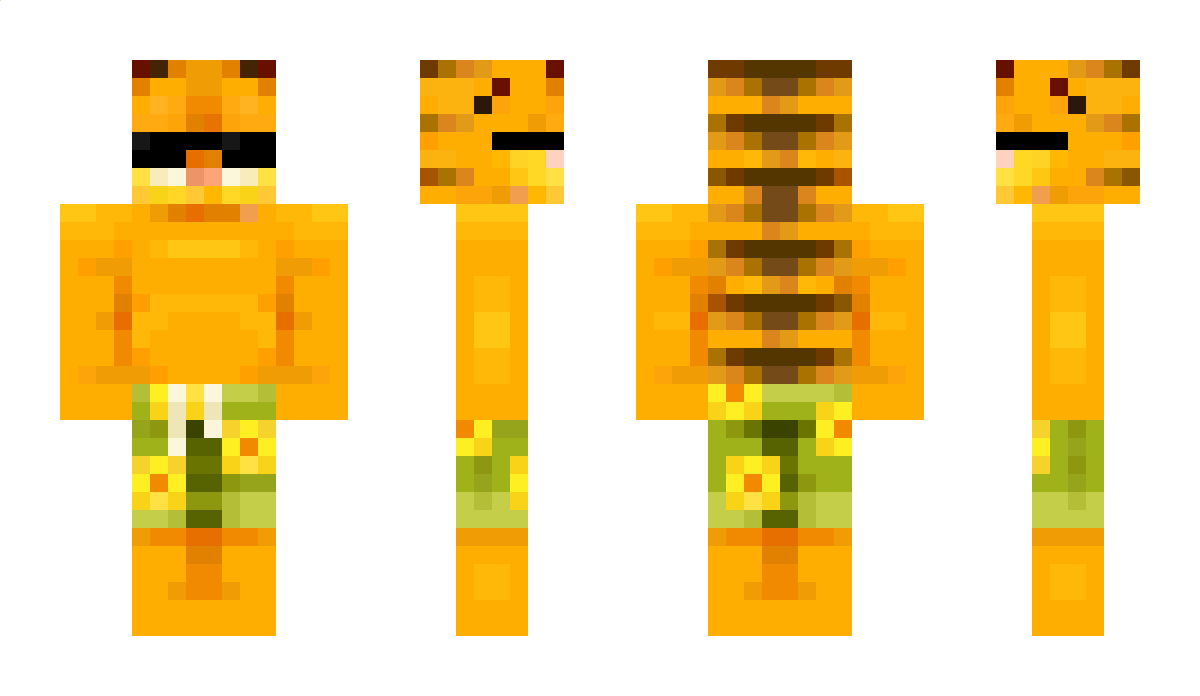 Crowa2142 Minecraft Skin