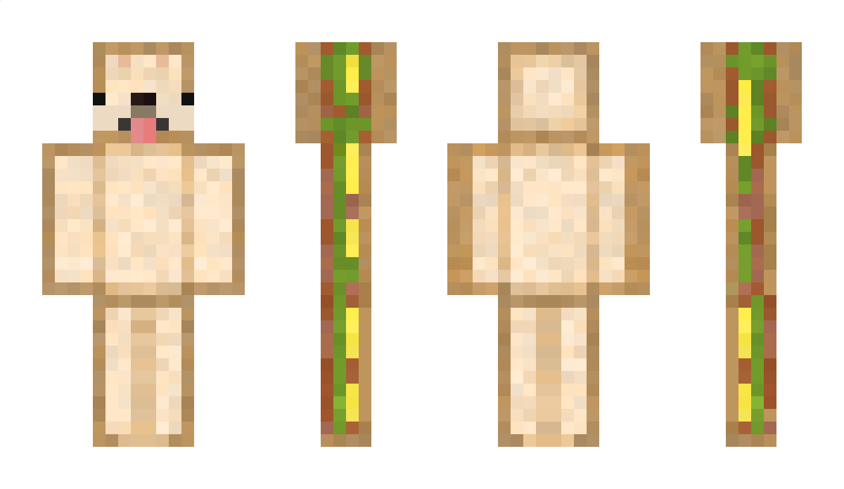 Pancraft2006 Minecraft Skin