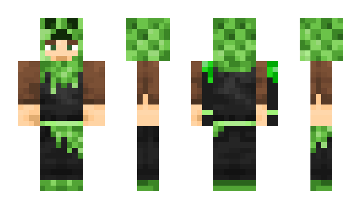 C_Artist02 Minecraft Skin