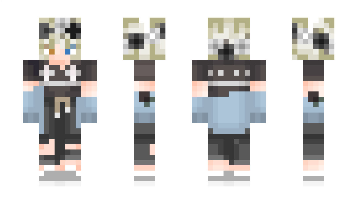 healthbars Minecraft Skin