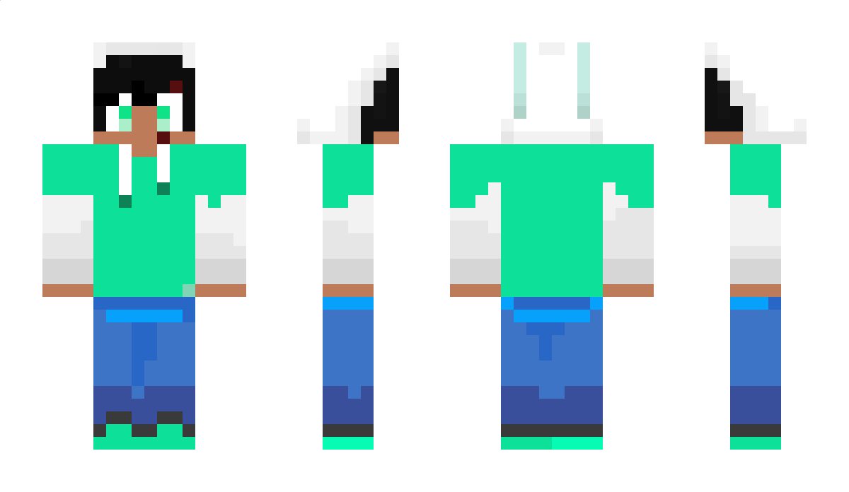 PokitPixel Minecraft Skin