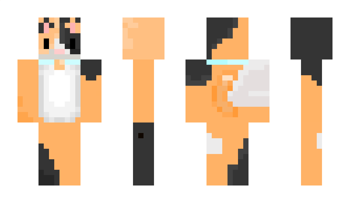 violincat28 Minecraft Skin