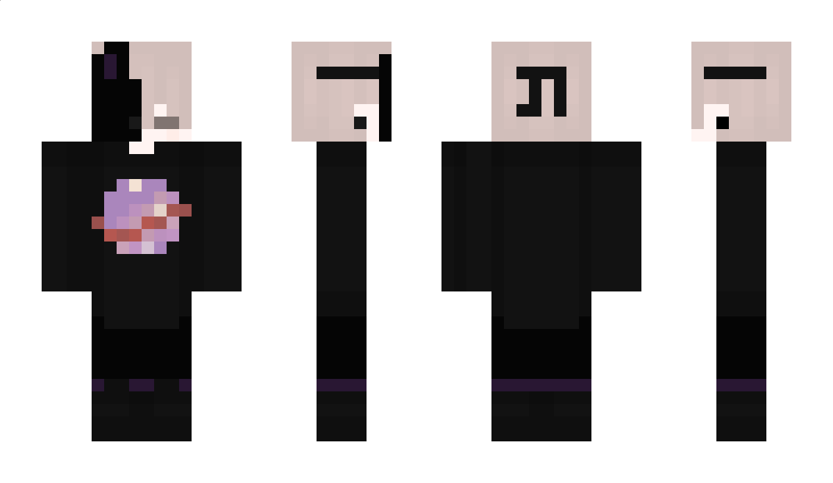 ZSpacex Minecraft Skin