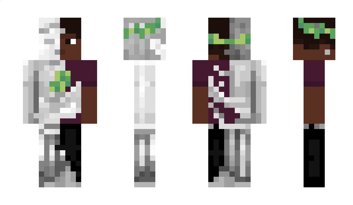 bn12_ Minecraft Skin