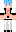 dollarhead Minecraft Skin