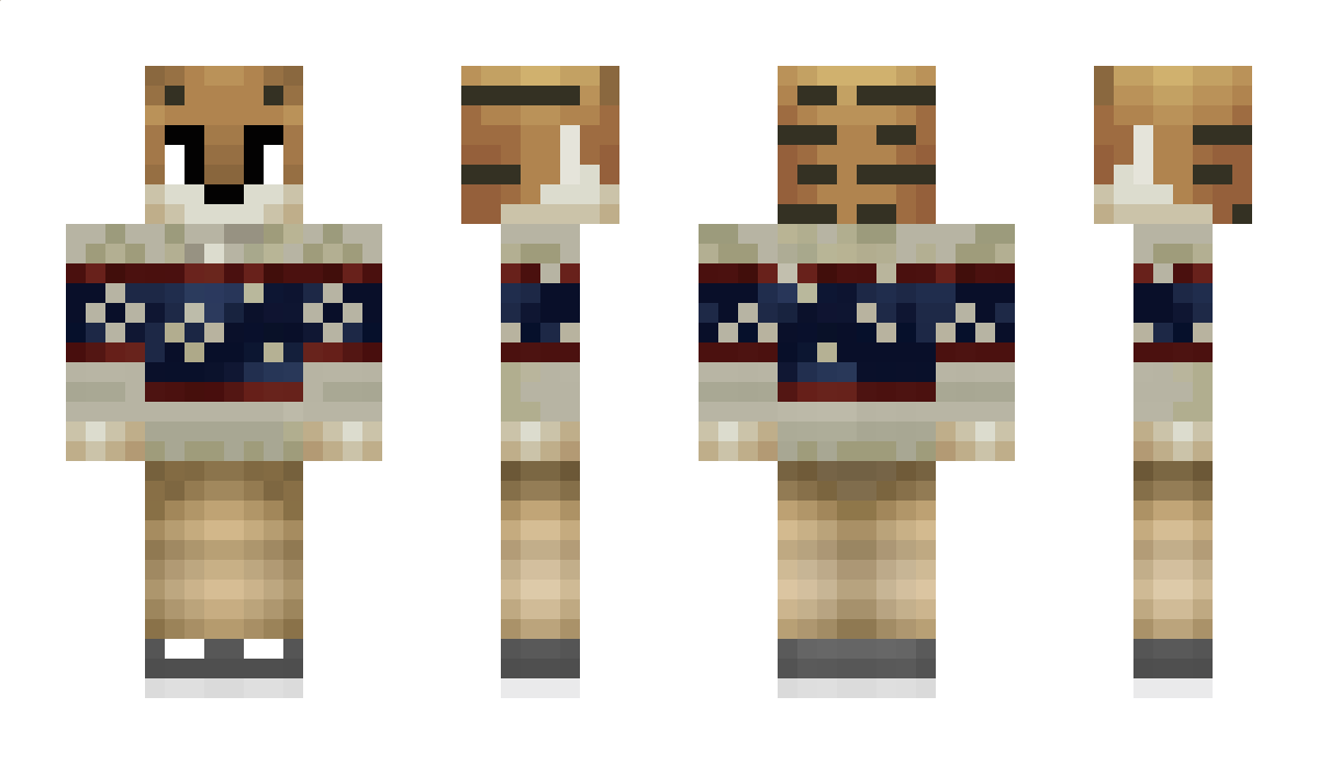 tiigrR Minecraft Skin