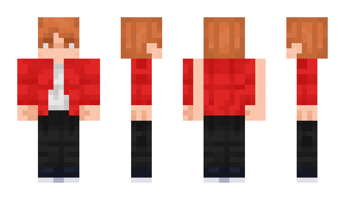 WimGein Minecraft Skin