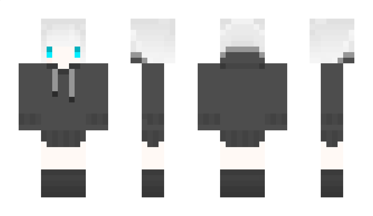 4958 Minecraft Skin