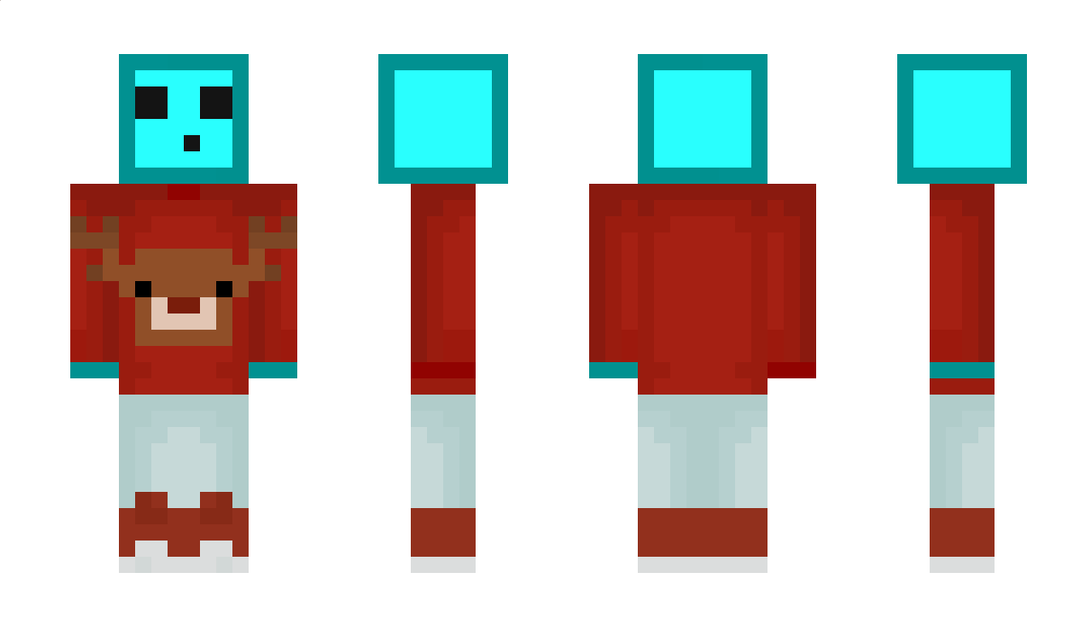 sebamobil34 Minecraft Skin