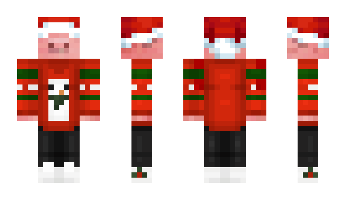 therealslayer645 Minecraft Skin