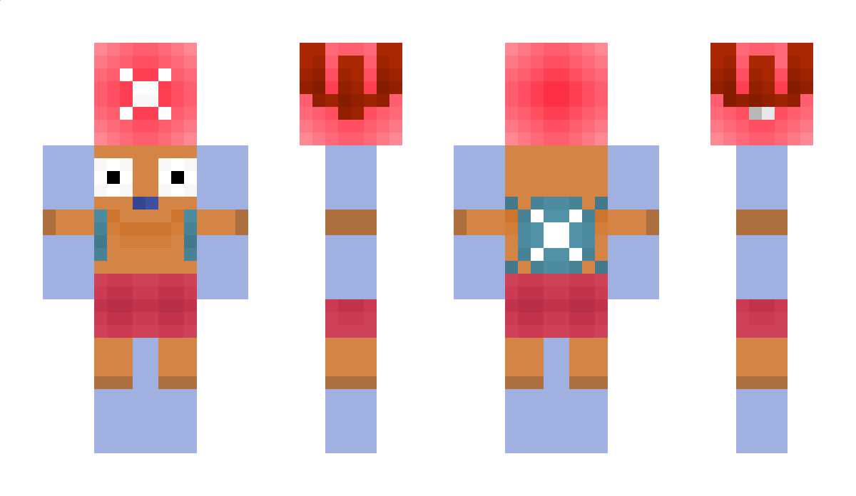 Bandee Minecraft Skin