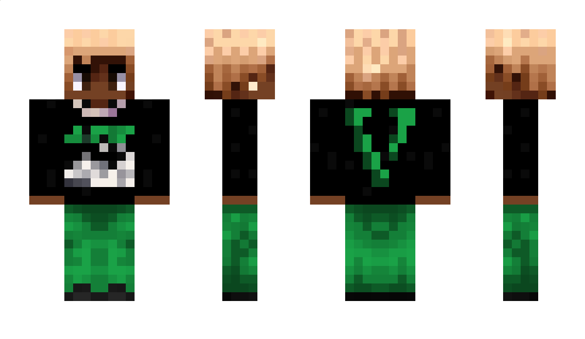 RyuShT Minecraft Skin