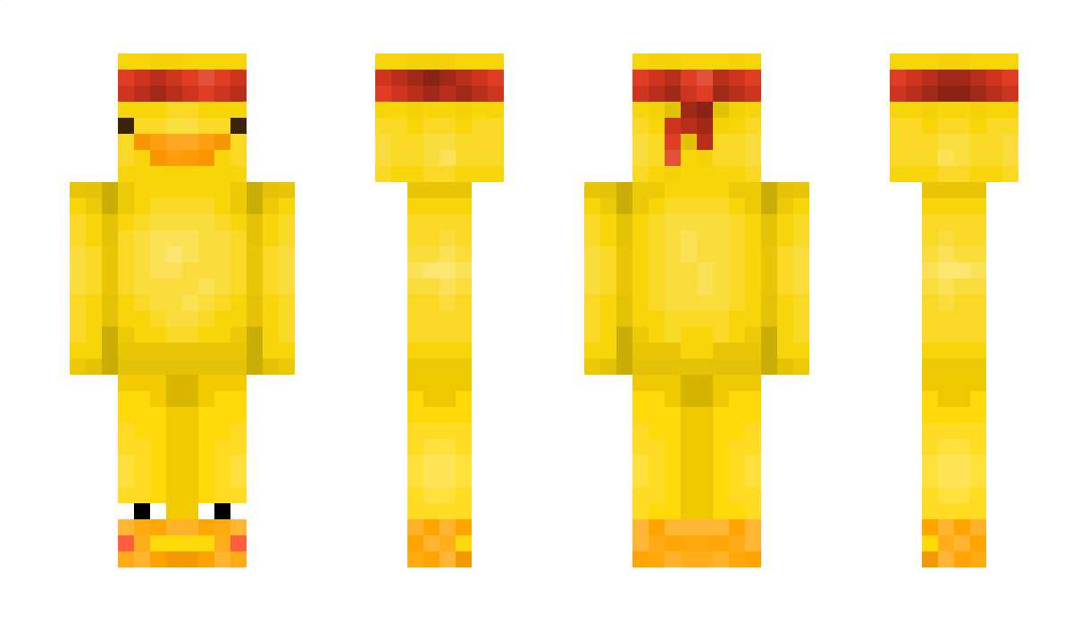 Not_KingProGo Minecraft Skin