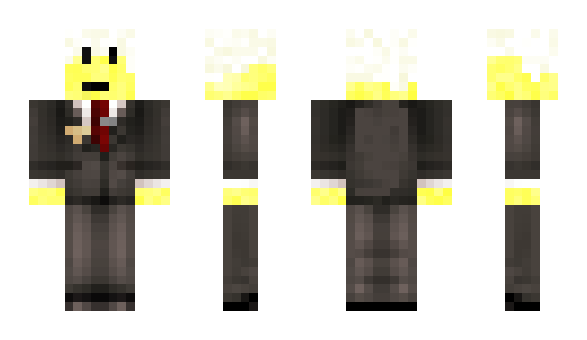 zedgridgamer Minecraft Skin