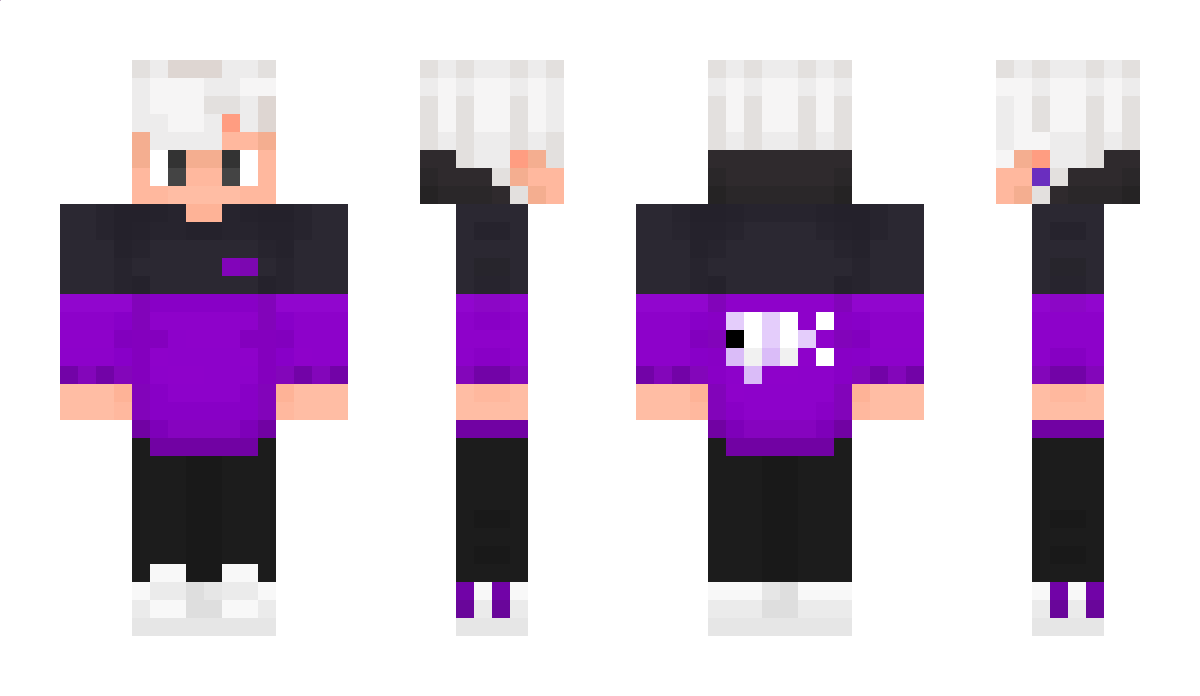 BinPNG Minecraft Skin