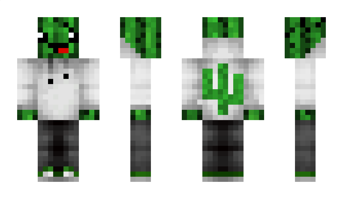 KalterKaktus Minecraft Skin