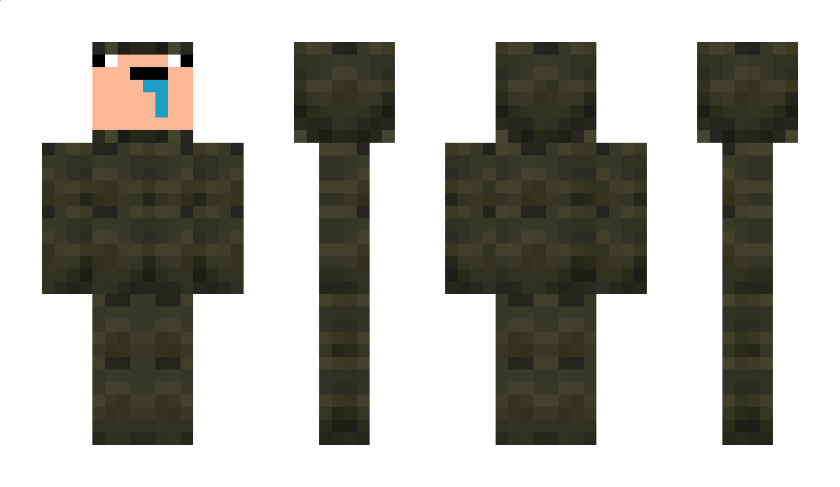 Floink Minecraft Skin